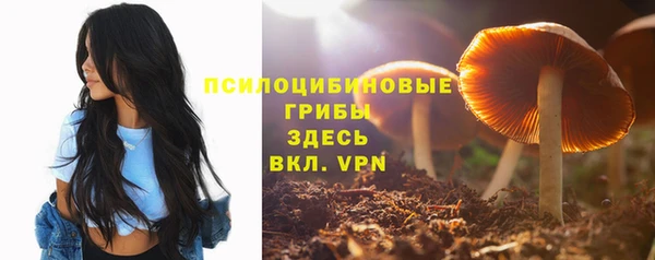 герыч Абаза