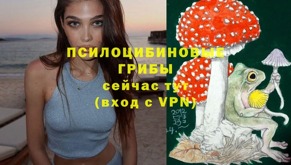 герыч Абаза