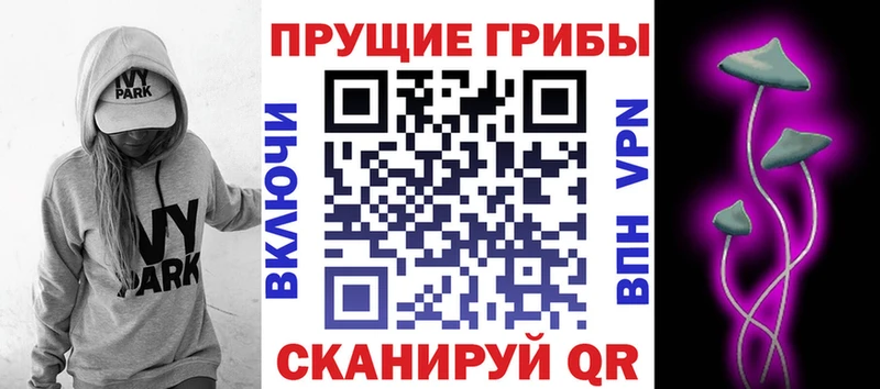 Галлюциногенные грибы Psilocybe  мега ссылки  Ангарск 